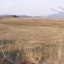 소월1리 이미지