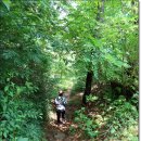 새솔학교 이미지