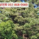 지방도905호선2 이미지