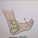 운동제이짐