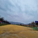 장호원파크골프장 Daum카페
