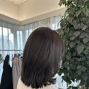 바비헤어샵 이미지