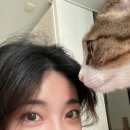 [천안 속눈썹펌 맛집 추천] 두정동 속눈썹 펌 Hi_j 하이제이 150%만족 후기!!