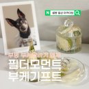 부케 말리기 업체 vs 셀프 기프트 만들기 부평 필더모먼트 솔직 후기