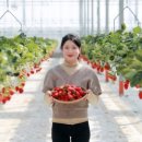 박상익농장 이미지