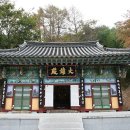 강덕농장 티스토리