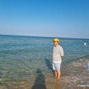 주문진약국 이미지