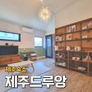 제주 여행 Day 2 일정, 에어비앤비 제주드루앙 신촌점 숙소 후기