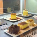 강남역 카공 셀렉티드닉스 루프탑 강남역 대형카페 방문 후기
