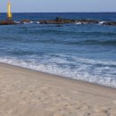 글라스바바 이미지