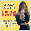 문퍼피 | 포항강아지분양 특별했던 홍스퍼피