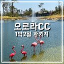 1박2일 스크린골프 | 강원도 오로라CC 30만원대1박2일 골프패키지 라운딩 후기