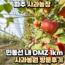 지인농원 | 파주 사과농장 민통선 내 DMZ 1km 사과농원 방문후기