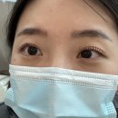 목동눈썹/목동자연눈썹/목동속눈썹펌 잘 하는 곳 : 바하브로우 후기