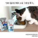 로얄광고 - 영도구 태종로 338 | [내돈내산] IBD고양이 사료 추천 ㅣ 알러지케어 처방사료 3종비교분석 (+로얄 하이포알러제닉 기호성 후기)