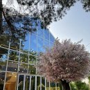 곡현로133번길 이미지