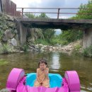 땅콩 게임장 이미지