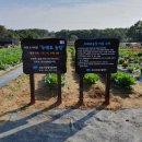 시영농장 이미지