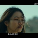 (주)영화사 거미