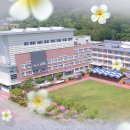 울산미용예술고등학교 이미지