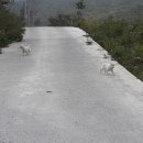 어청도보건지소 이미지