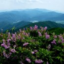 파도가머무는정원 이미지