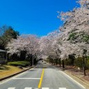 블루헤런G.C 이미지