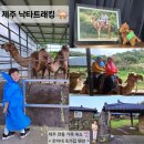 표선농협성읍지점 | 제주도 &lt;낙타 트래킹&gt; 바로 옆 &lt;찬이네 초가집 펜션&gt; 내돈내산