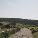 하모리-43 이미지