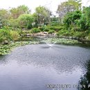 안산 갈대습지 공원 탐방 이미지