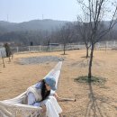 강아지소풍 | [후기] 청주 단독 강아지 운동장 부엉이소풍 파머스그라운드