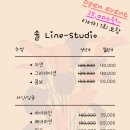 솔헤어라인