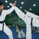 호 태권도 이미지