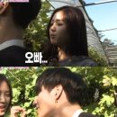 태민농장 이미지