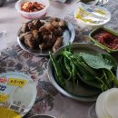 그라티아펜션 | [경기도 가평 가볼만한 곳] 펜션?, 캠핑?,그라티아 글램핑! (픽업서비스까지?)