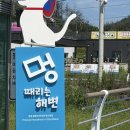 동해면사무소 | 포항 흥환리 반려견 해수욕장 이용후기(애견동반O)