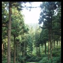 산이네 민박 이미지