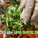 동면 청소년문화의집 이미지
