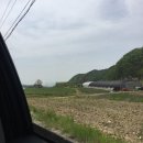 (주)보성공업이천사업소 | 블랙팬서 장갑+영자언니 맛집