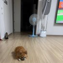 돈주네 | 9월 셋째주인가? 넷째주네