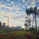 미사호수공원(미사1동행정복지센터인근) 이미지