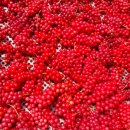 큰밭농원 이미지