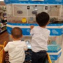 뽑기홀릭 이미지