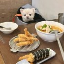 아라분식 | 서울 애견동반 식당 서울숲 분식 내돈내산 띠또분식 주차