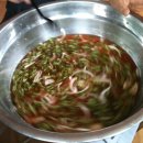 채니농장 이미지