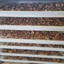 인산초등학교 이미지