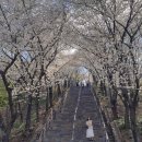 침산공원(C) 이미지