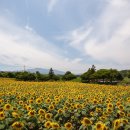 상기농장 이미지