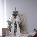 뉴본 | 대전아기사진 잘 찍는 곳｜마틴스쇼룸 대전점 이른둥이 아기 뉴본촬영 후기