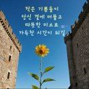 기쁨